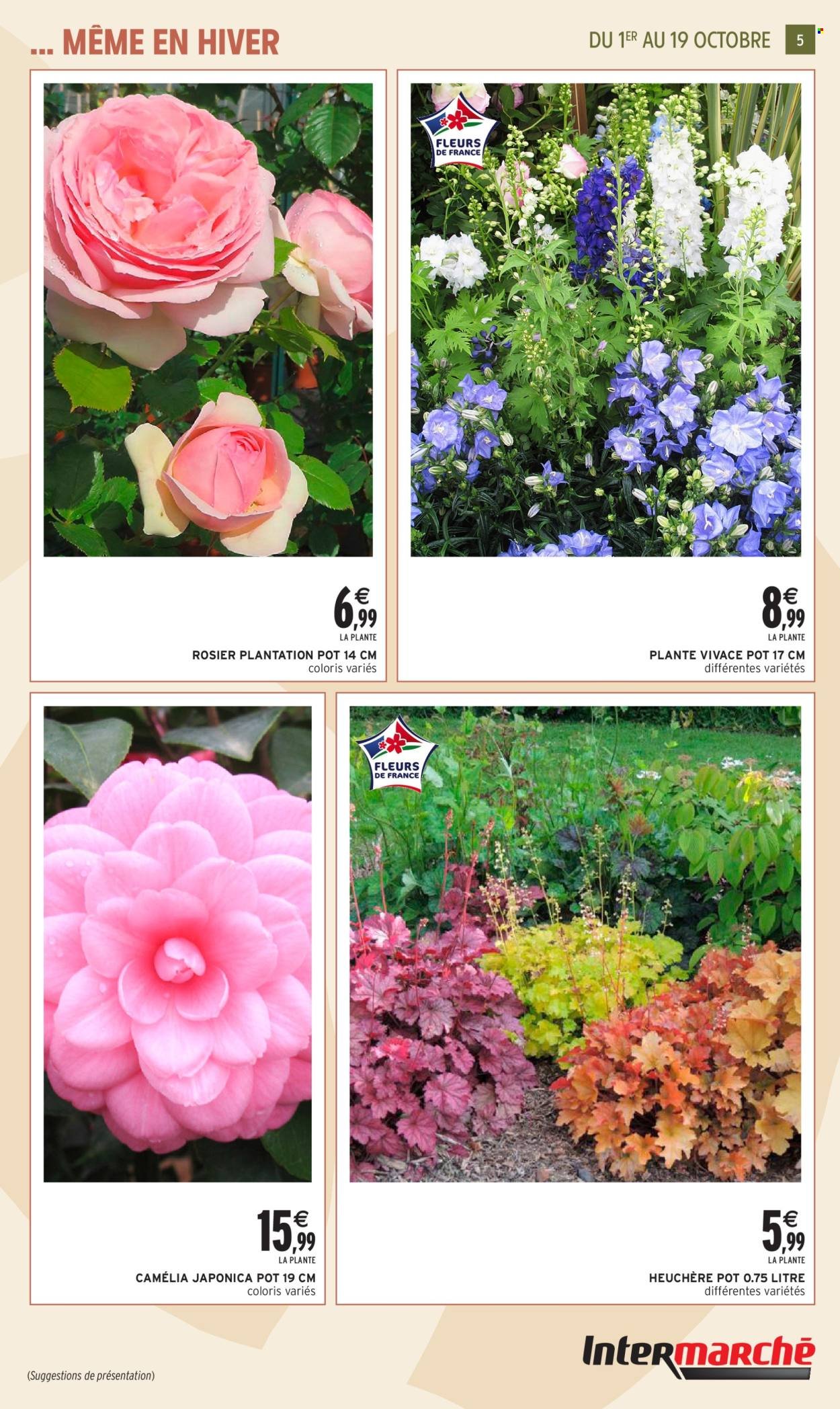 Catalogue INTERMARCHÉ - Jardin d'automne (2025-09-30 - 2025-10-19)