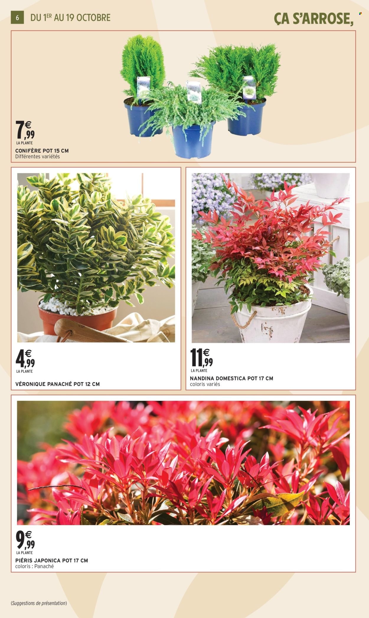 Catalogue INTERMARCHÉ - Jardin d'automne (2025-09-30 - 2025-10-19)