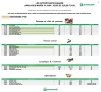 Catalogue PROMOCASH - Offre marée