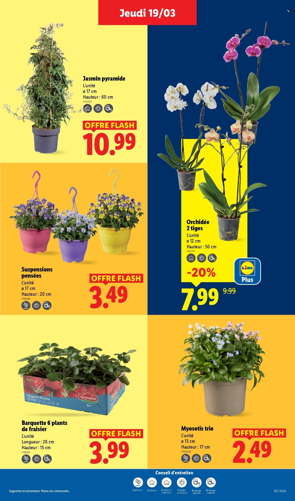 Catalogue LIDL - Les promos de la semaine (2026-03-19 - 2026-03-25)
