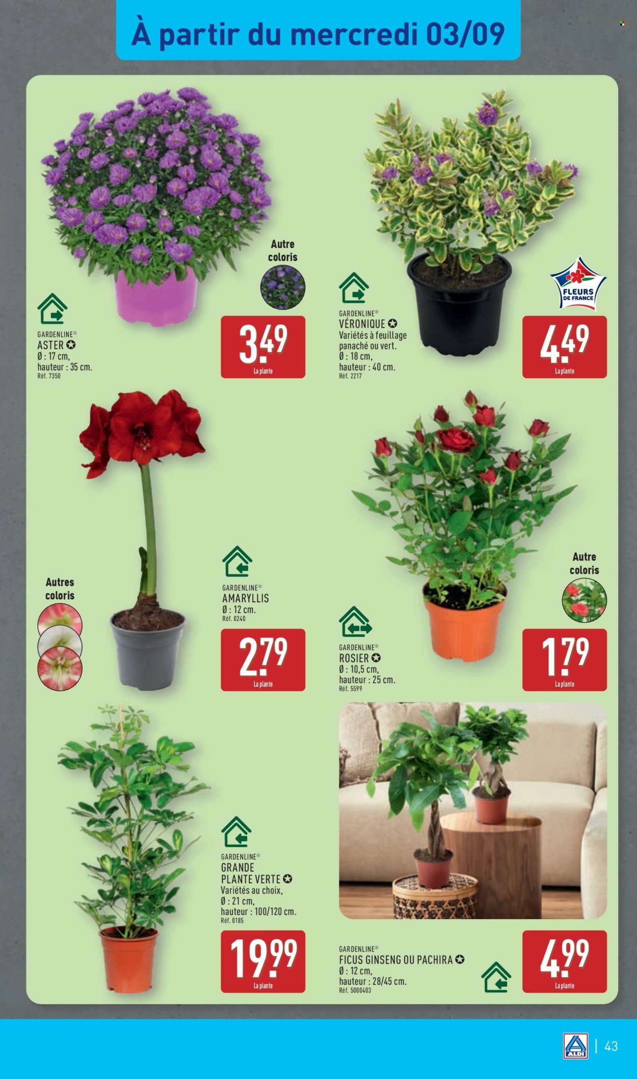 Catalogue ALDI - Les très grands arrivages (2025-09-02 - 2025-09-08)