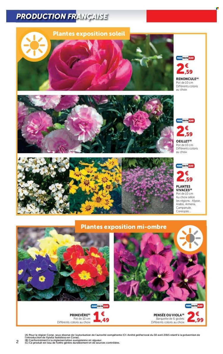 Catalogue U EXPRESS - Le jardin à prix bas