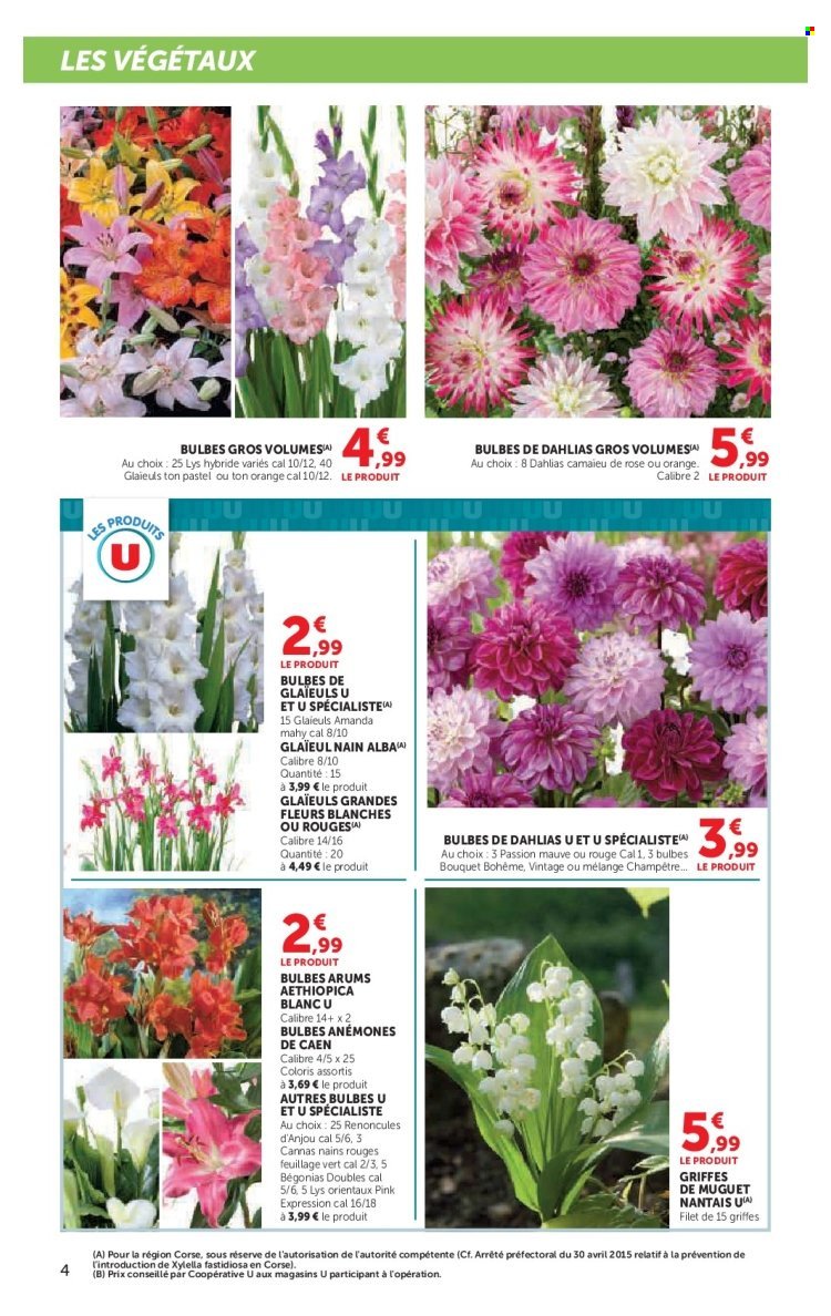 Catalogue U EXPRESS - Le jardin à prix bas