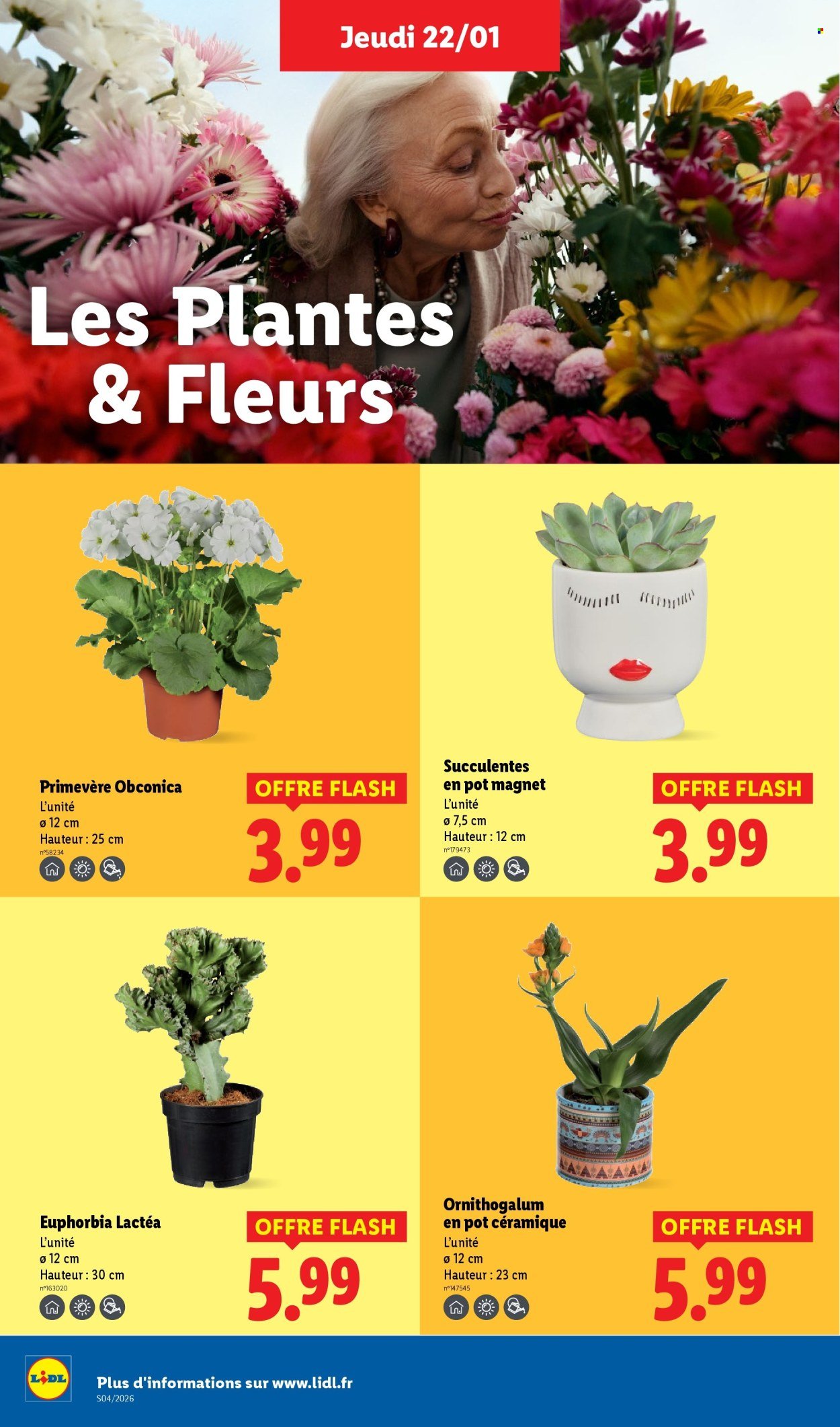 Catalogue LIDL - Les promos de la semaine (2026-01-22 - 2026-01-28)