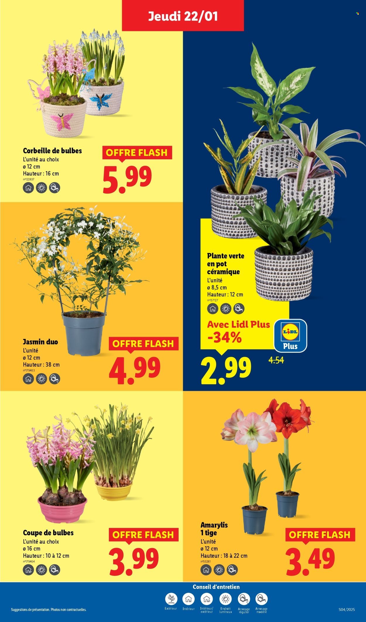 Catalogue LIDL - Les promos de la semaine (2026-01-22 - 2026-01-28)