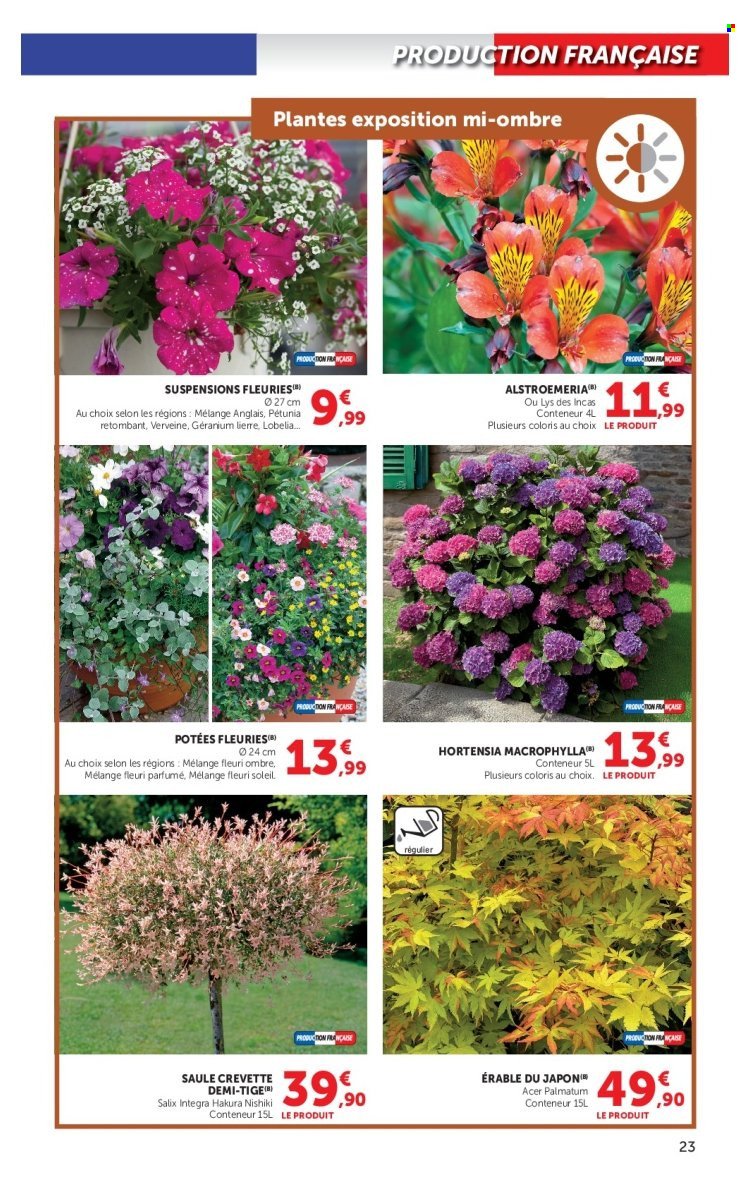 Catalogue HYPER U - Les beaux jours à prix bas (2026-04-28 - 2026-05-24)