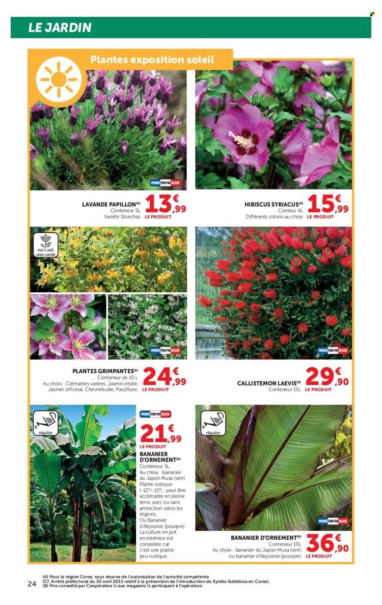 Catalogue HYPER U - Les beaux jours à prix bas (2026-04-28 - 2026-05-24)