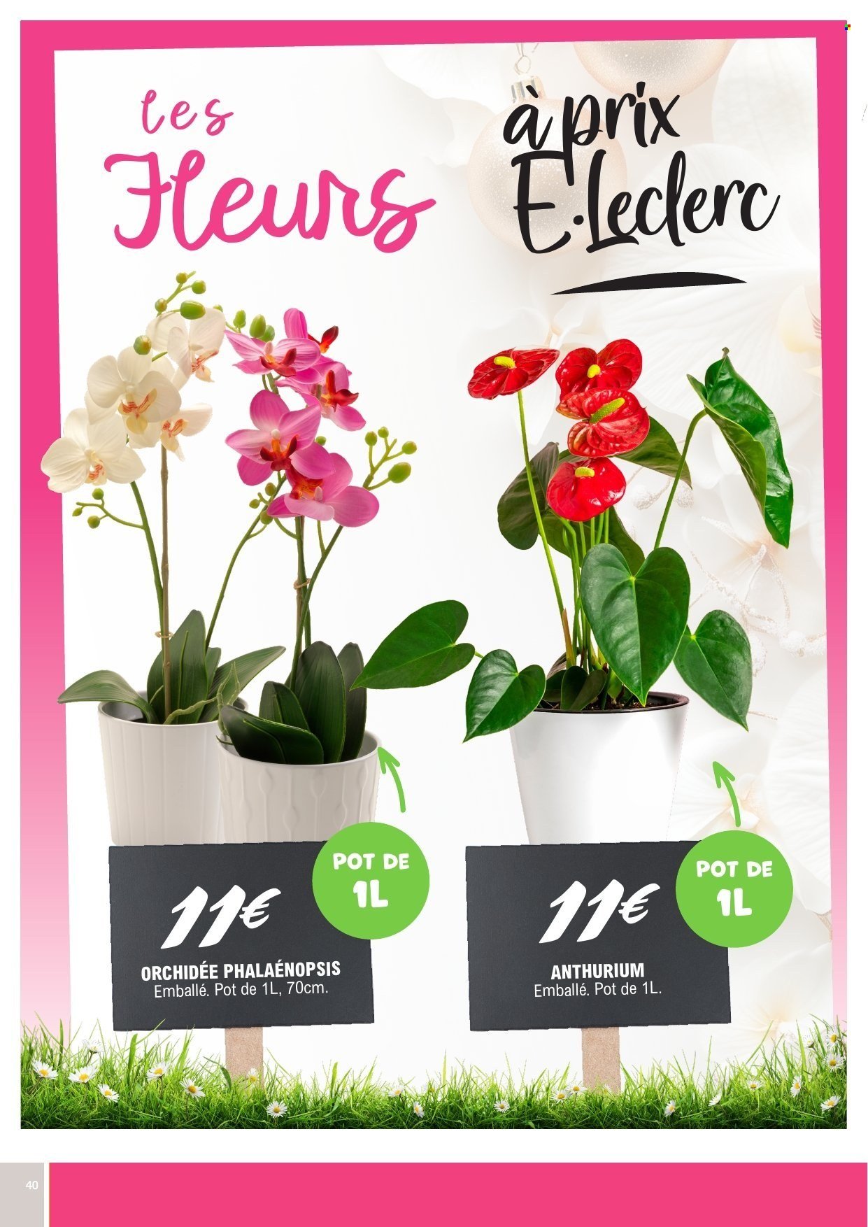 Catalogue E.LECLERC - Du mardi 22 septembre 2026
