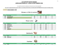 Catalogue PROMOCASH - Offre marée