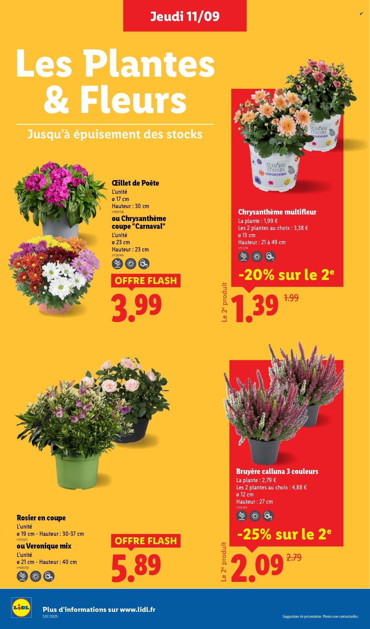Catalogue LIDL - Les promos de la semaine (2025-09-11 - 2025-09-17)