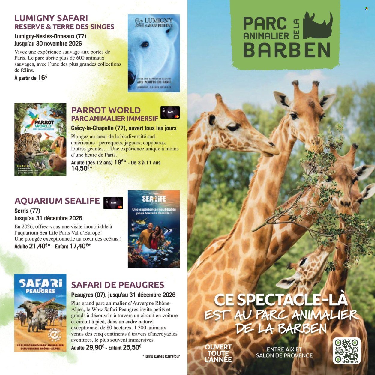 Catalogue CARREFOUR - LE BOOK DES SORTIES