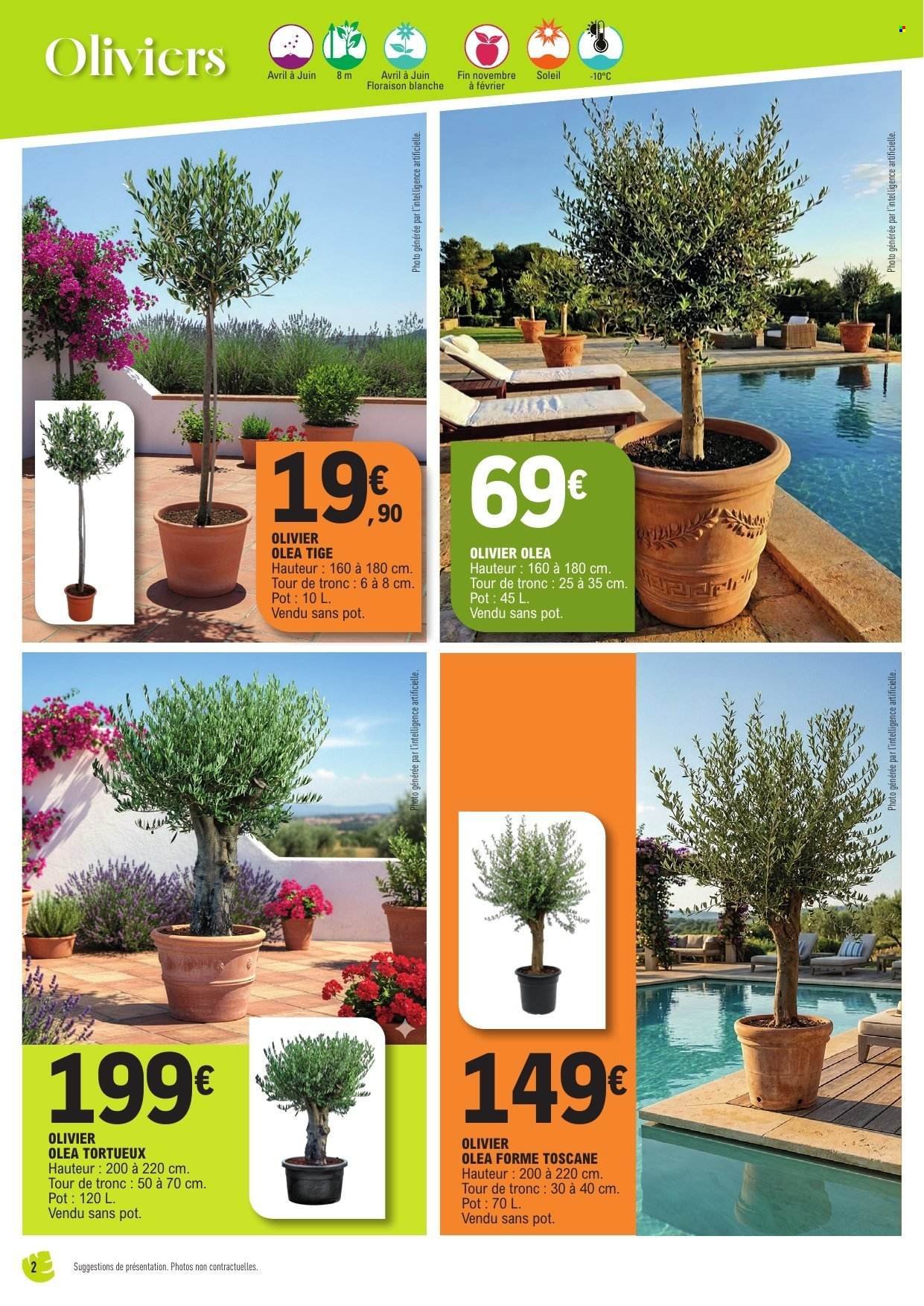 Catalogue E.LECLERC - Spécial plantes méditerranéennes