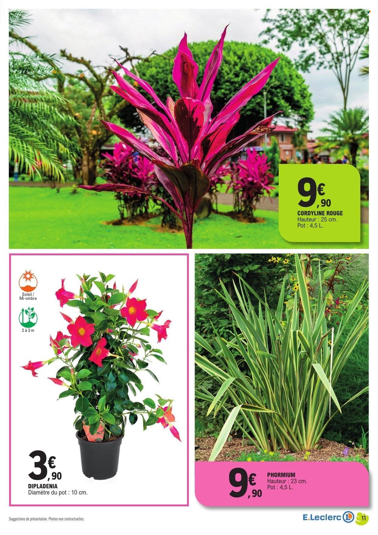 Catalogue E.LECLERC - Spécial plantes méditerranéennes (2026-04-14 - 2026-04-25)