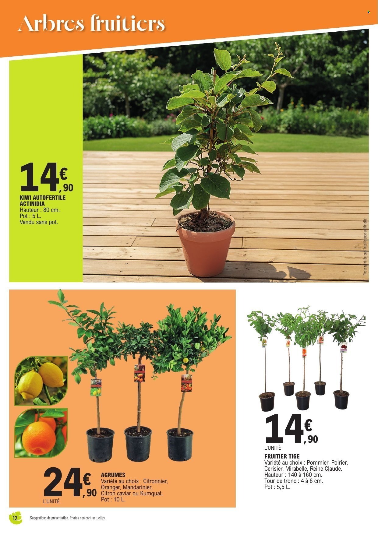 Catalogue E.LECLERC - Spécial plantes méditerranéennes (2026-04-14 - 2026-04-25)