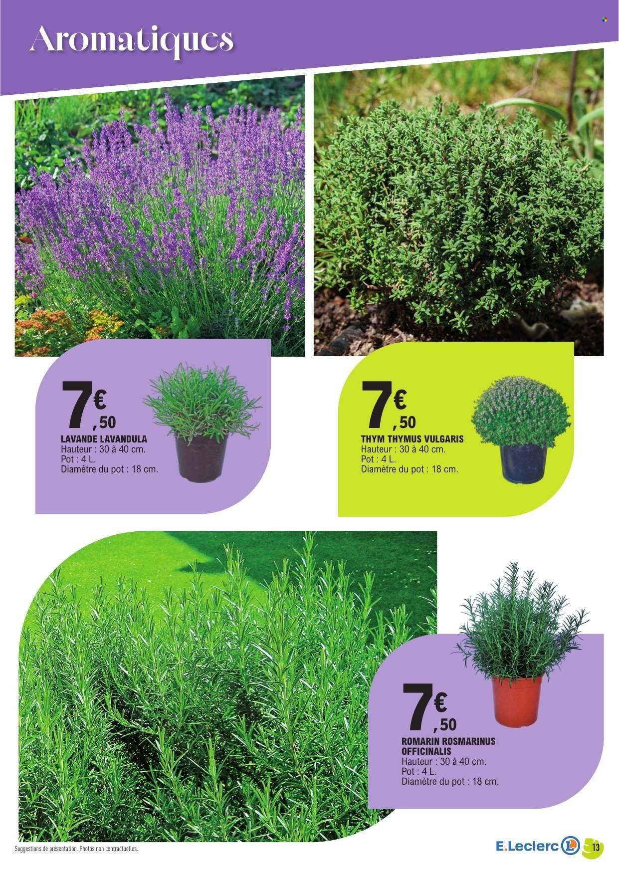 Catalogue E.LECLERC - Spécial plantes méditerranéennes (2026-04-14 - 2026-04-25)