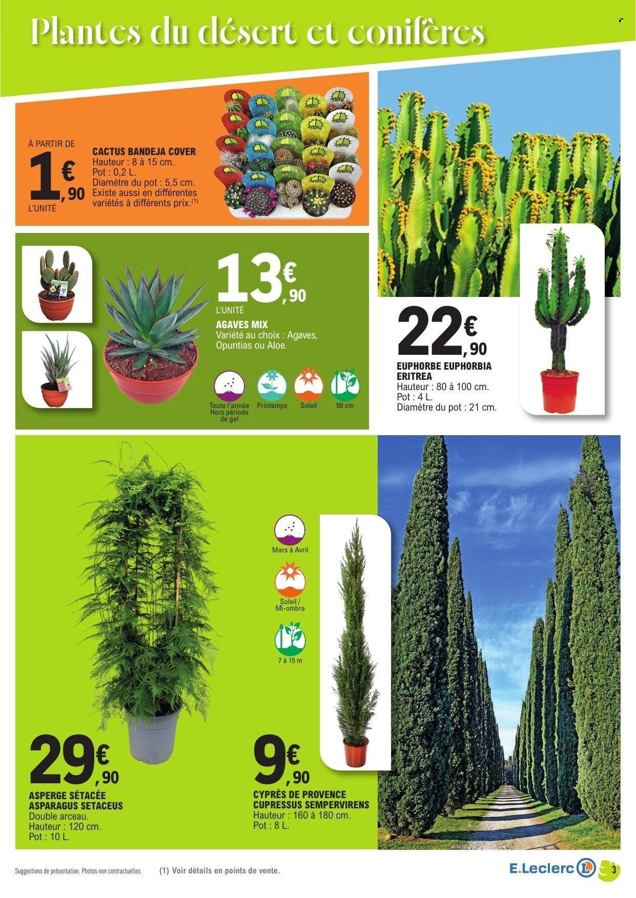 Catalogue E.LECLERC - Spécial plantes méditerranéennes