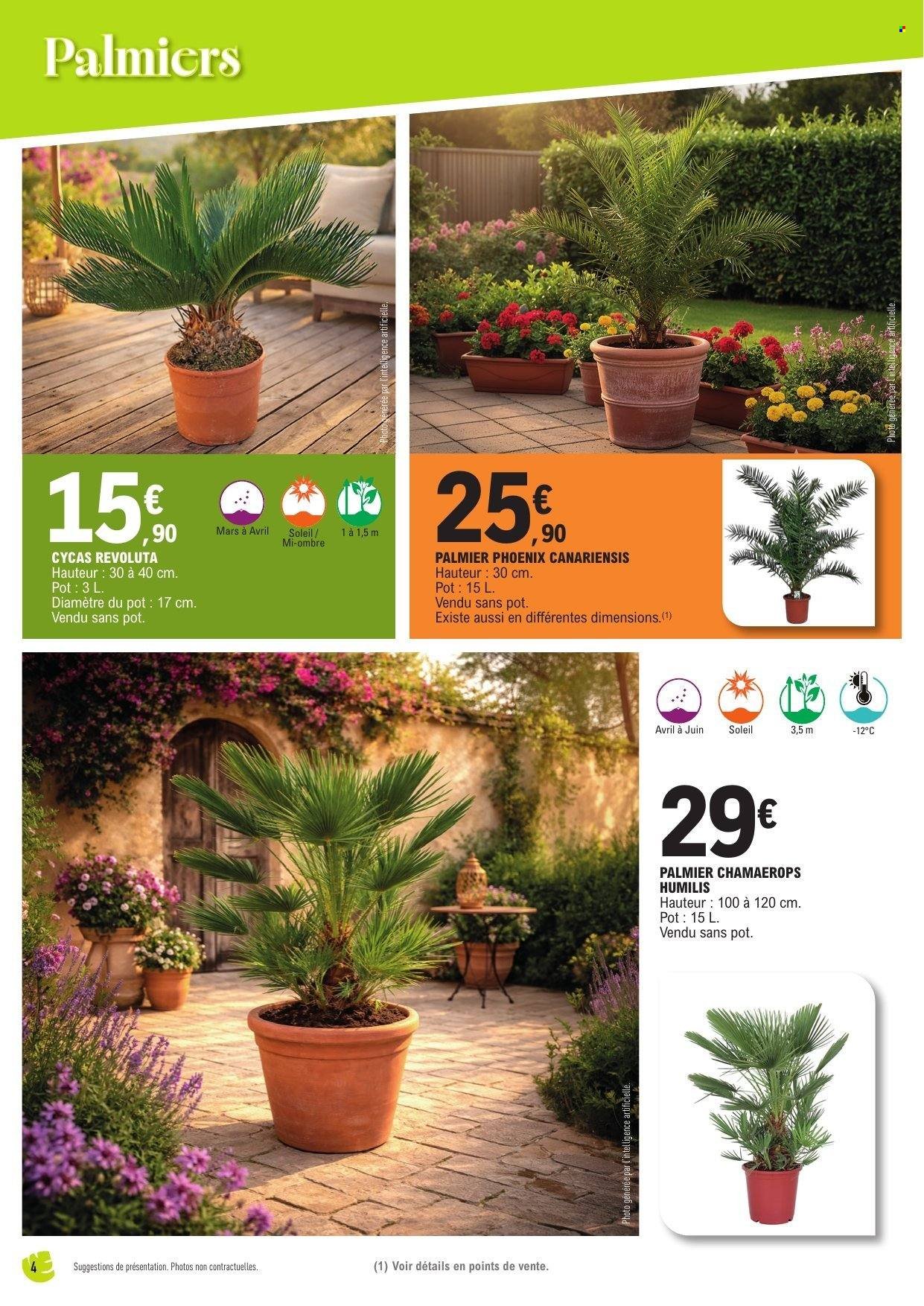 Catalogue E.LECLERC - Spécial plantes méditerranéennes (2026-04-14 - 2026-04-25)