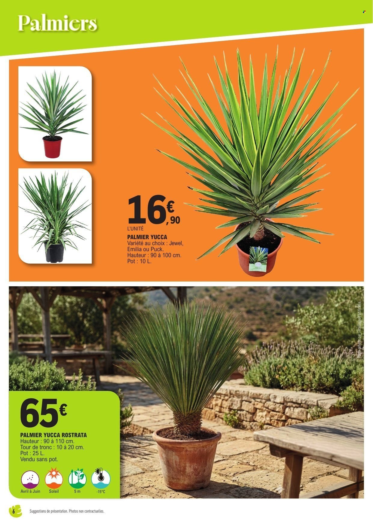 Catalogue E.LECLERC - Spécial plantes méditerranéennes (2026-04-14 - 2026-04-25)