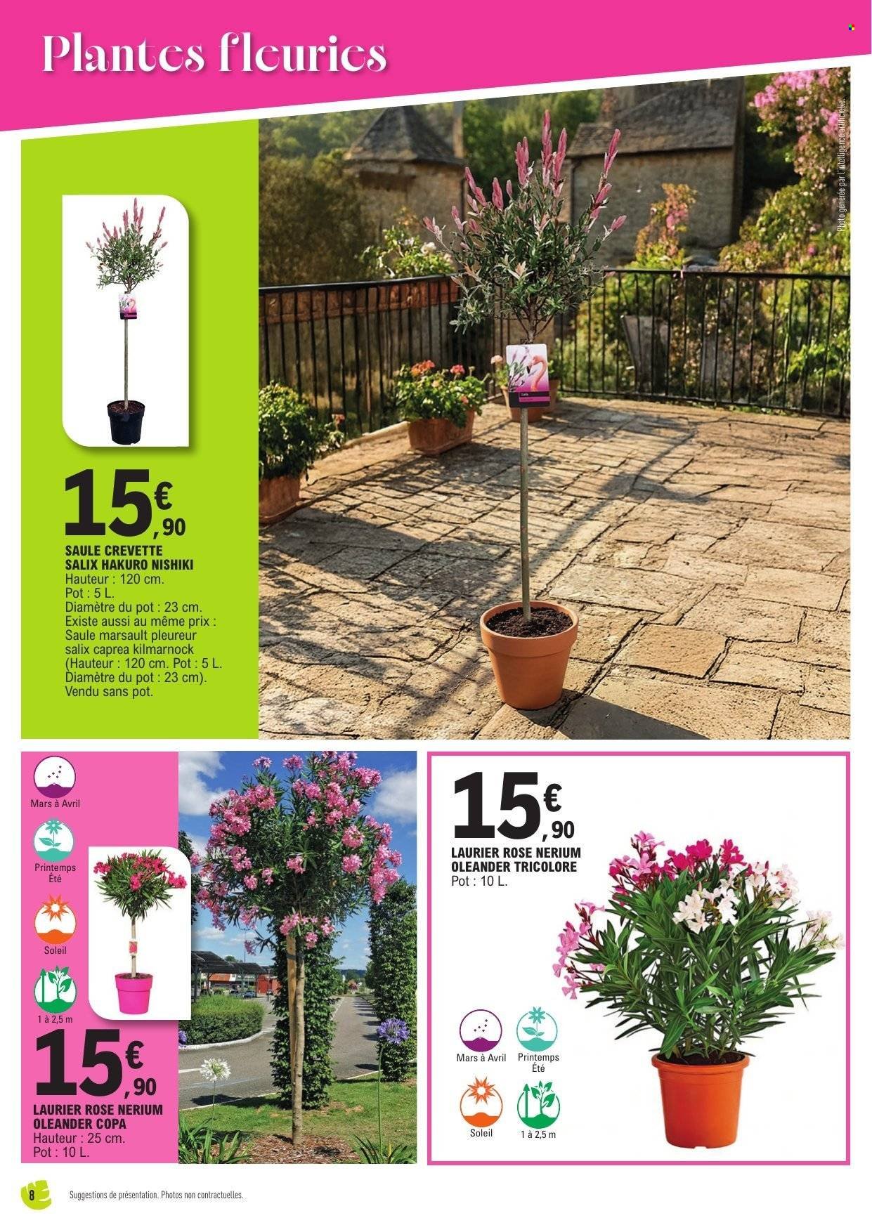 Catalogue E.LECLERC - Spécial plantes méditerranéennes (2026-04-14 - 2026-04-25)