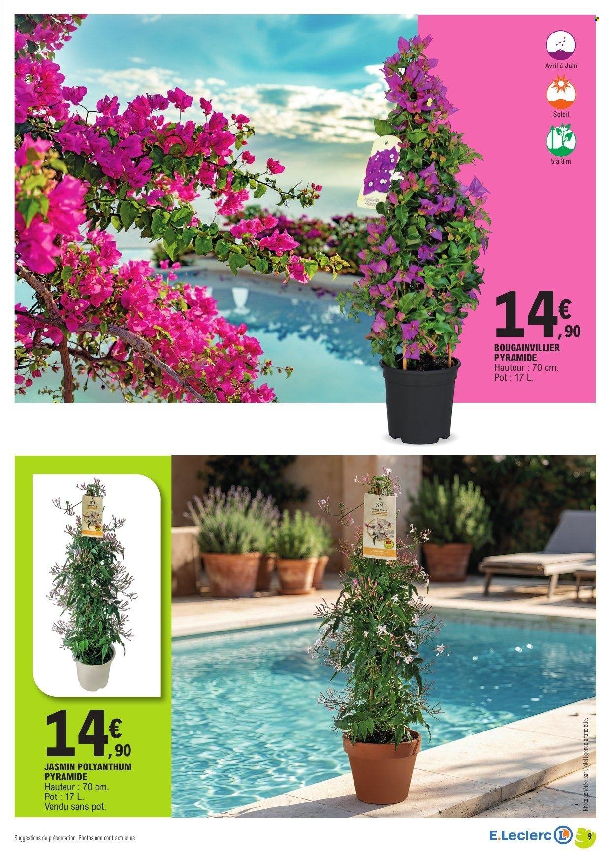 Catalogue E.LECLERC - Spécial plantes méditerranéennes (2026-04-14 - 2026-04-25)