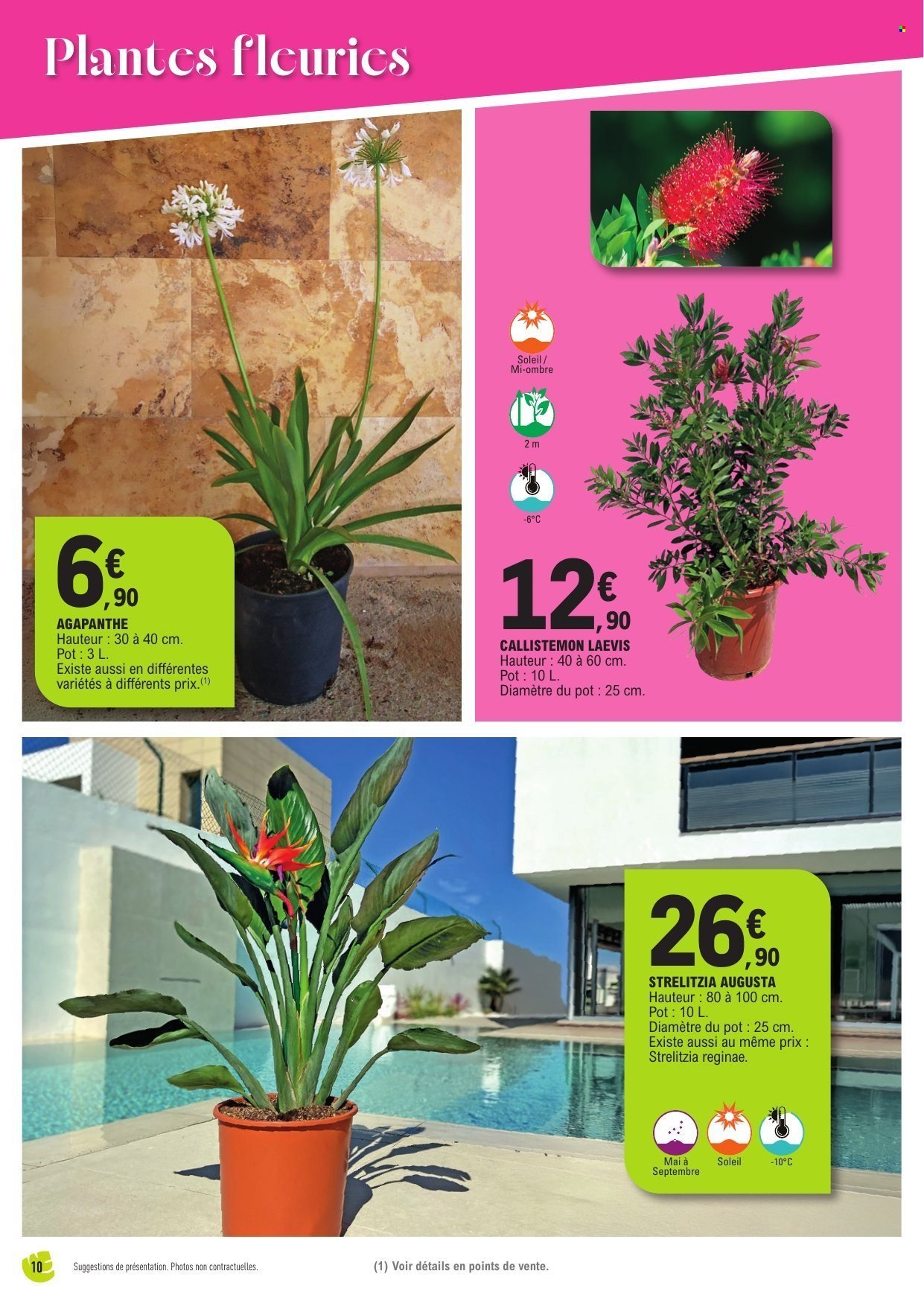 Catalogue E.LECLERC - Spécial plantes méditerranéennes (2026-04-14 - 2026-04-25)