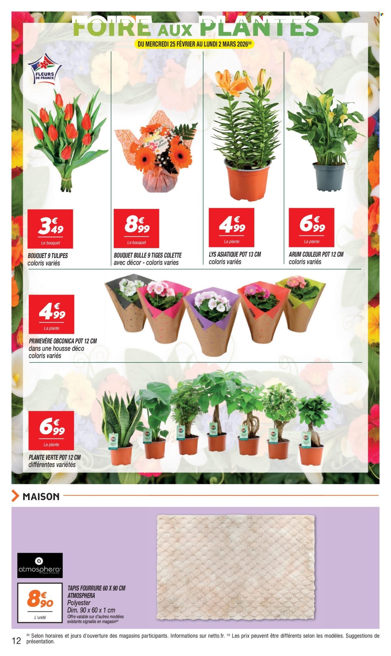 Catalogue NETTO - Du mardi 24 février 2026 (2026-02-24 - 2026-03-02)
