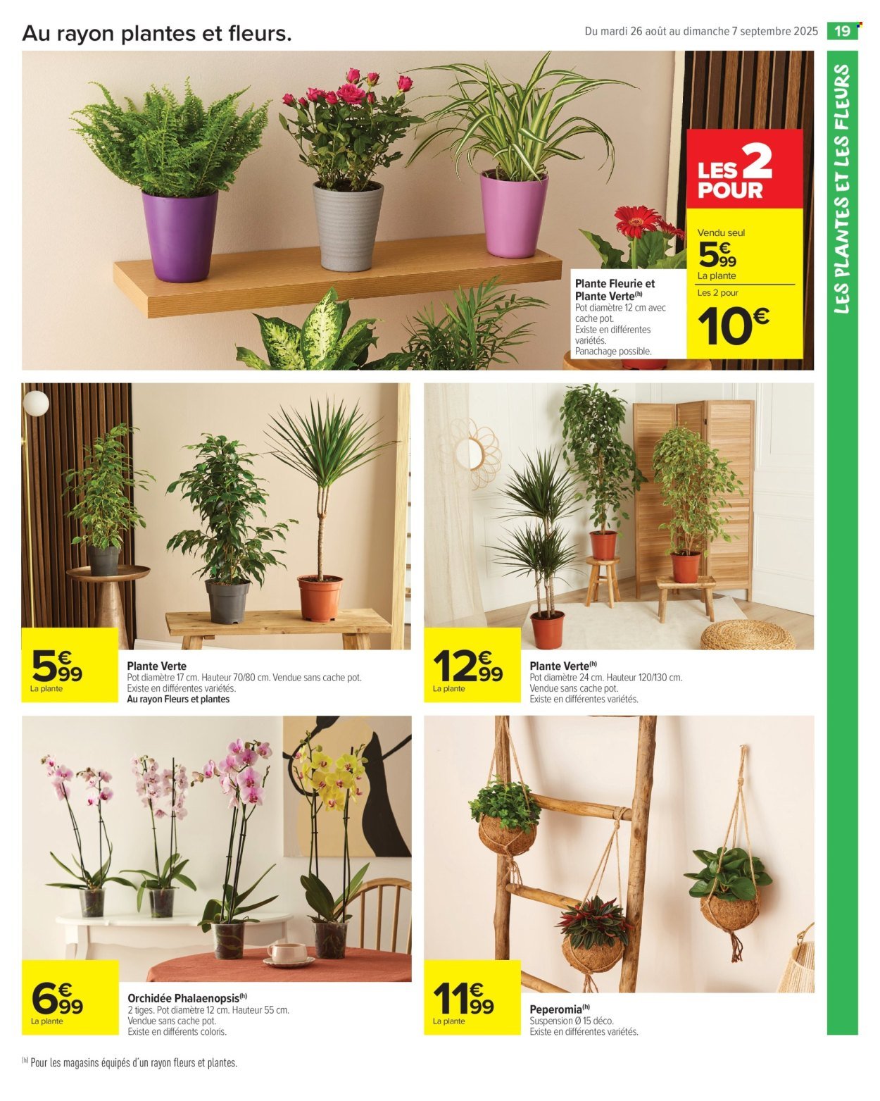 Catalogue CARREFOUR MARKET - LES JOURS MEILLEURS AVEC LES PRODUITS CARREFOUR ! (2025-08-26 - 2025-09-07)