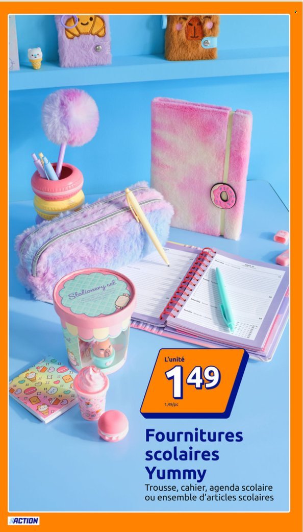 Catalogue ACTION - Du mercredi 10 juin 2026