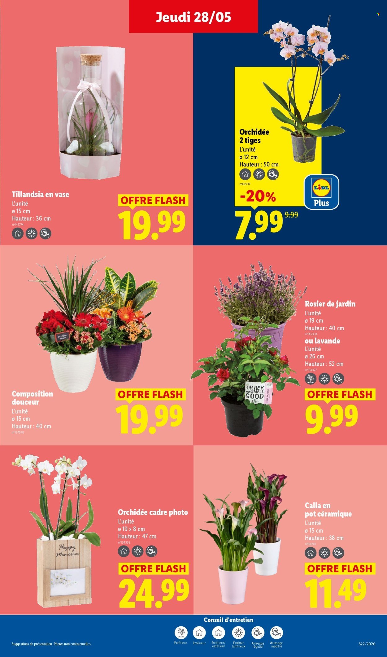Catalogue LIDL - Les promos de la semaine (2026-05-28 - 2026-06-03)