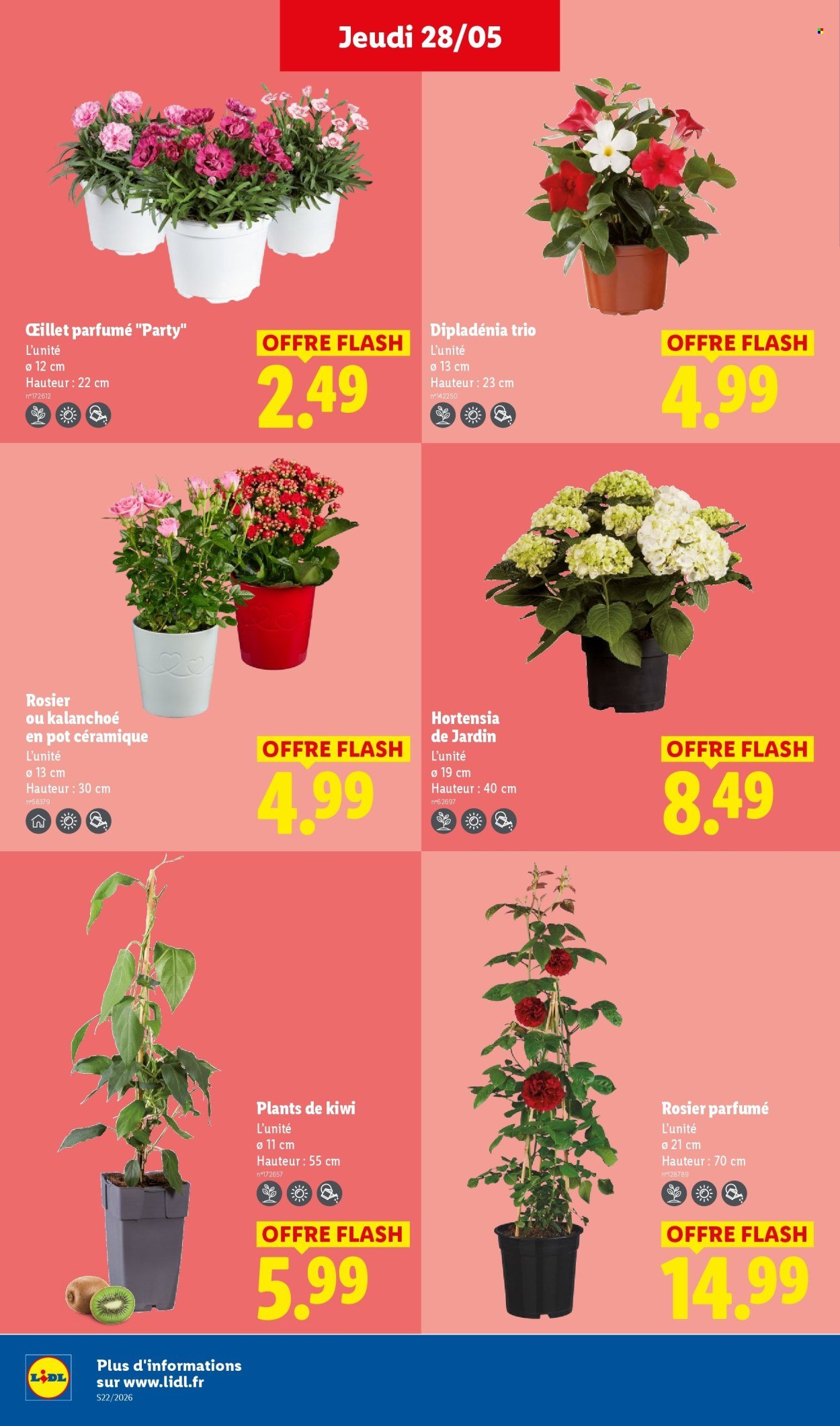 Catalogue LIDL - Les promos de la semaine (2026-05-28 - 2026-06-03)