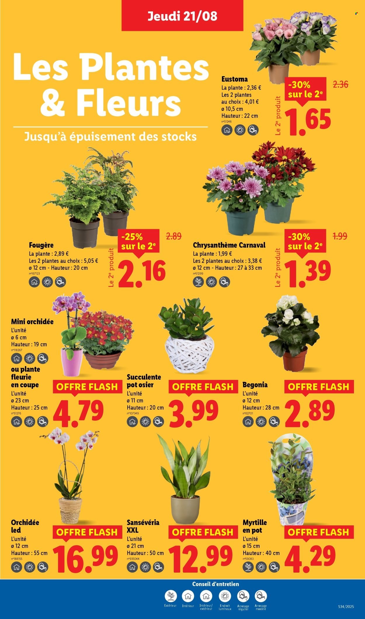 Catalogue LIDL - Les promos de la semaine (2025-08-21 - 2025-08-27)