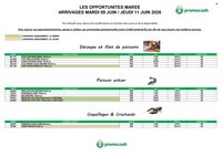 Catalogue PROMOCASH - Offre marée