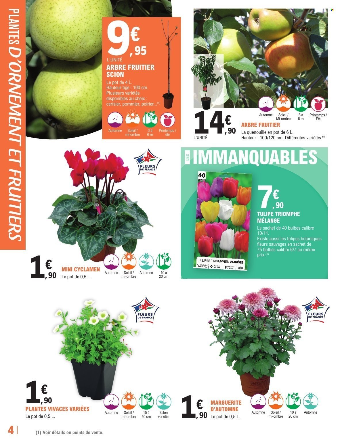 Catalogue E.LECLERC - TRAFIC JARDI AUTOMNE