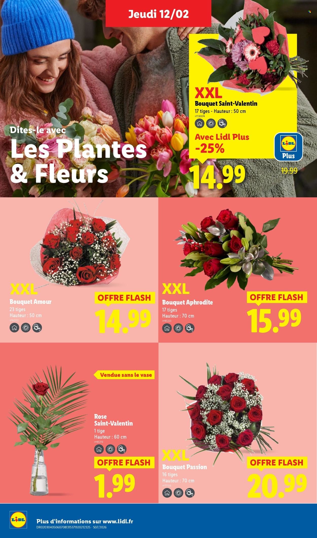 Catalogue LIDL - Les promos de la semaine (2026-02-12 - 2026-02-18)