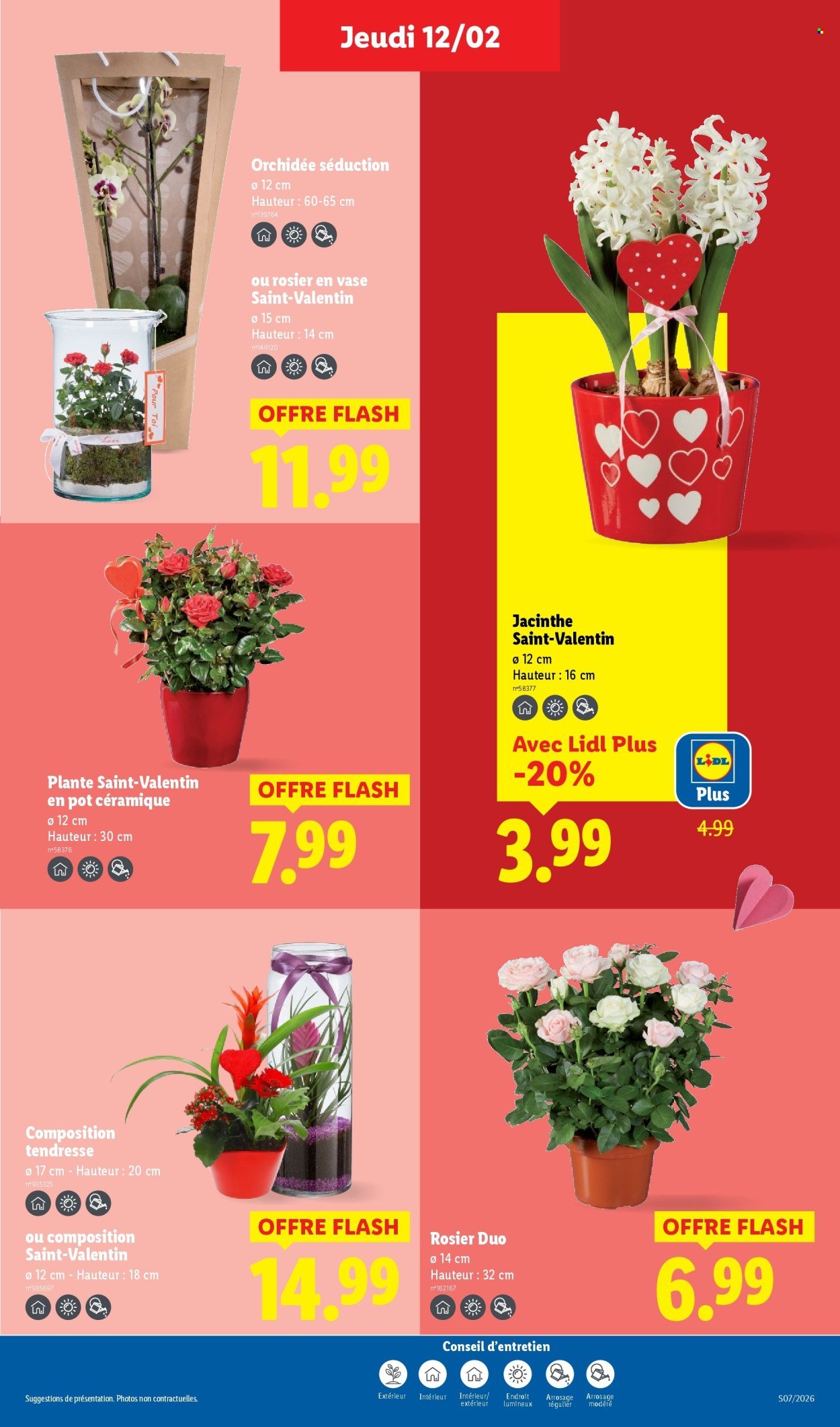 Catalogue LIDL - Les promos de la semaine (2026-02-12 - 2026-02-18)