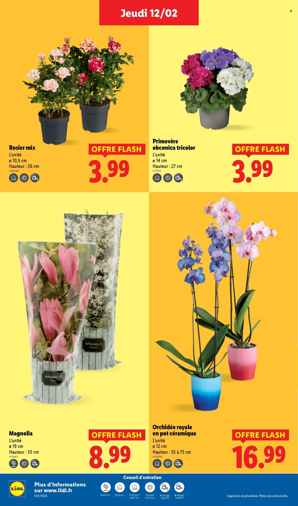 Catalogue LIDL - Les promos de la semaine (2026-02-12 - 2026-02-18)