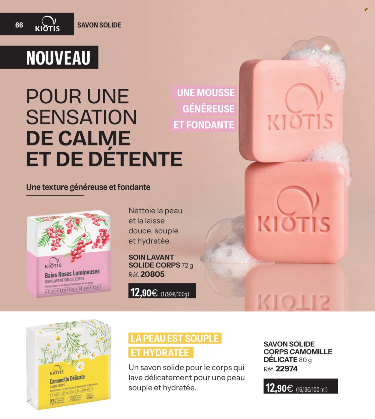 Catalogue STANHOME - Profiz de l'efficacité en duo! (2025-12-01 - 2025-12-28)
