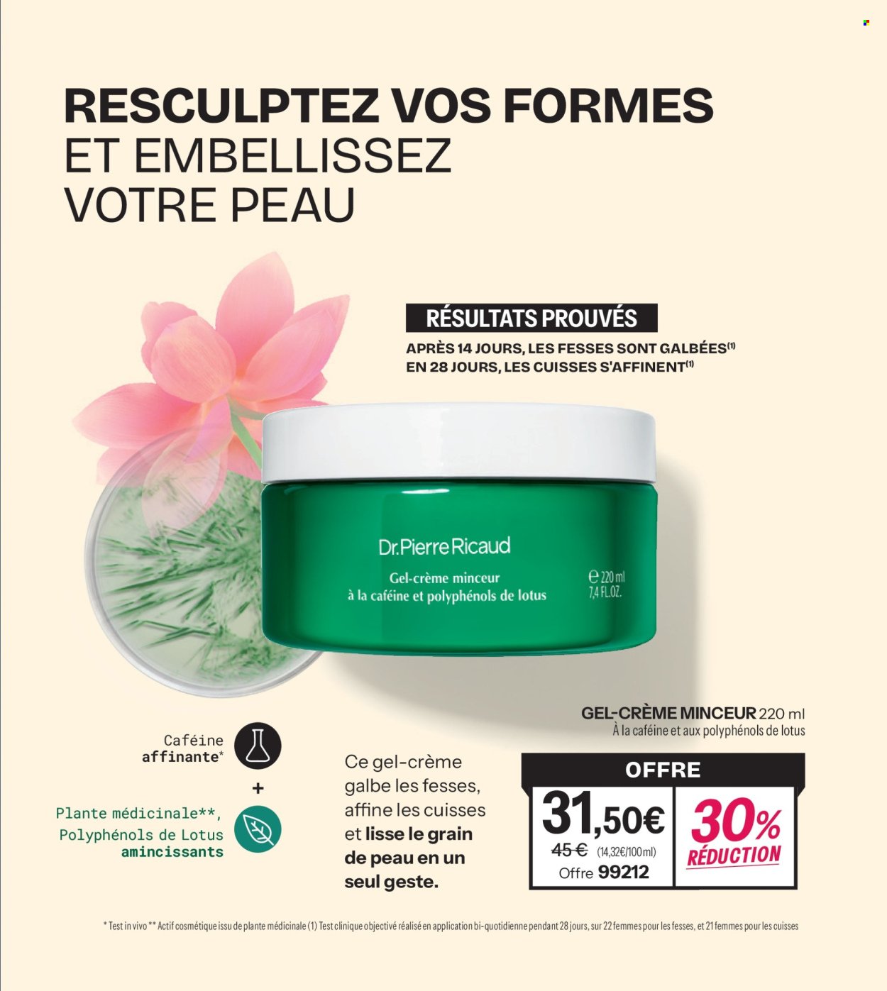 Catalogue STANHOME - Profiz de l'efficacité en duo! (2025-12-01 - 2025-12-28)