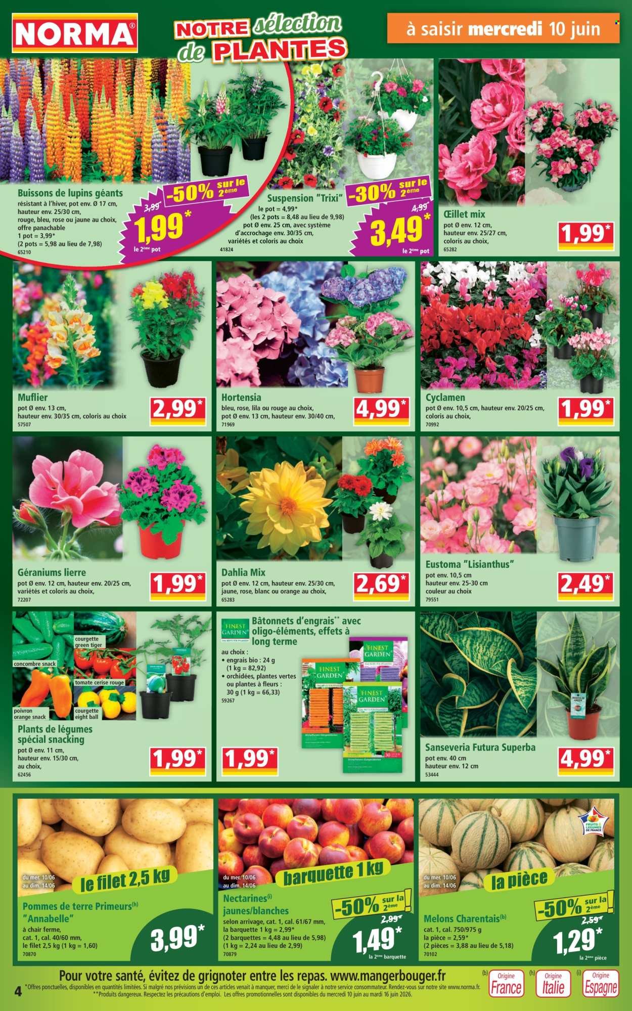 Catalogue NORMA - Du mercredi 10 juin 2026