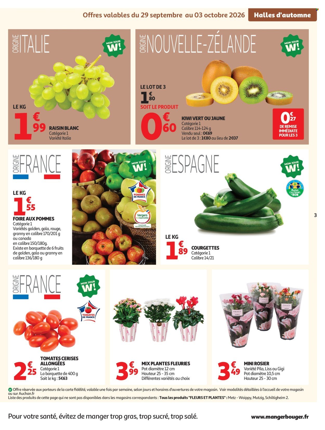 Catalogue AUCHAN - Halles d'automne supers