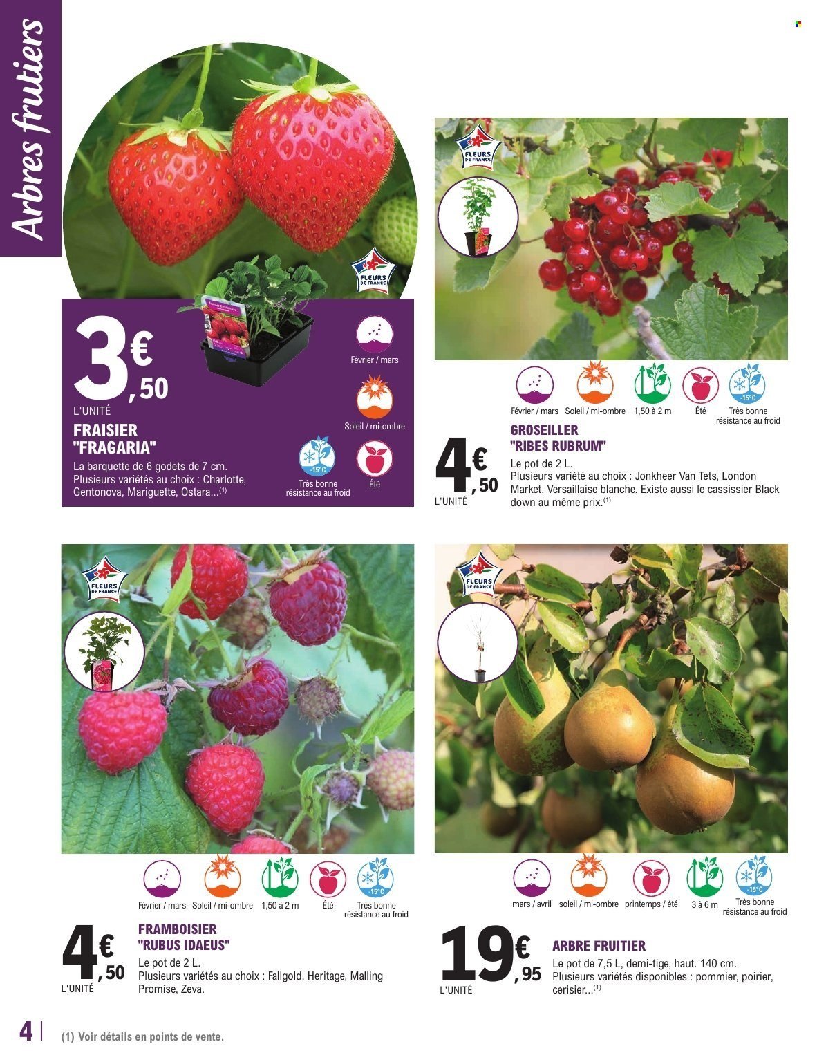 Catalogue E.LECLERC - TRAFIC JARDI PRINTEMPS