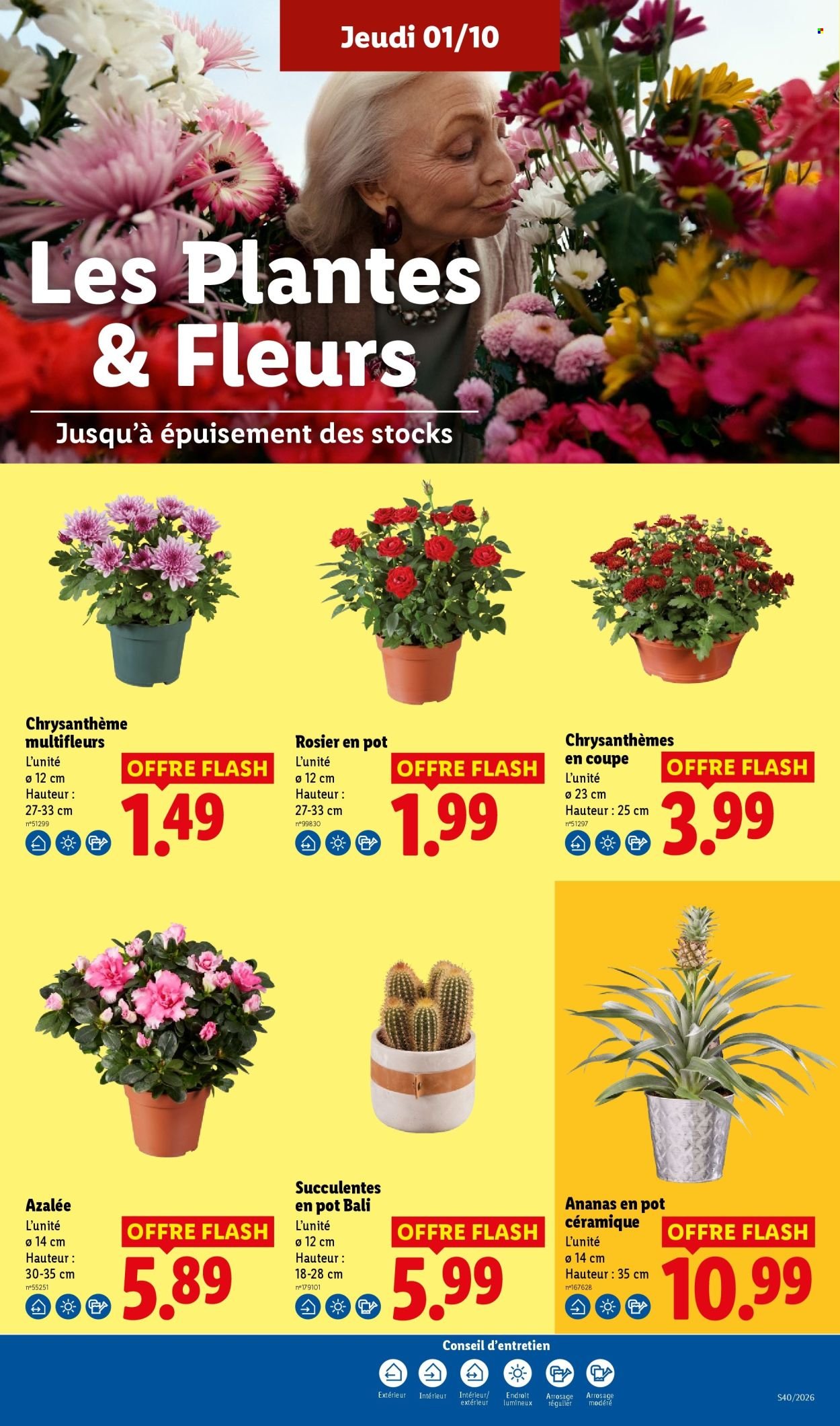 Catalogue LIDL - Les promos de la semaine