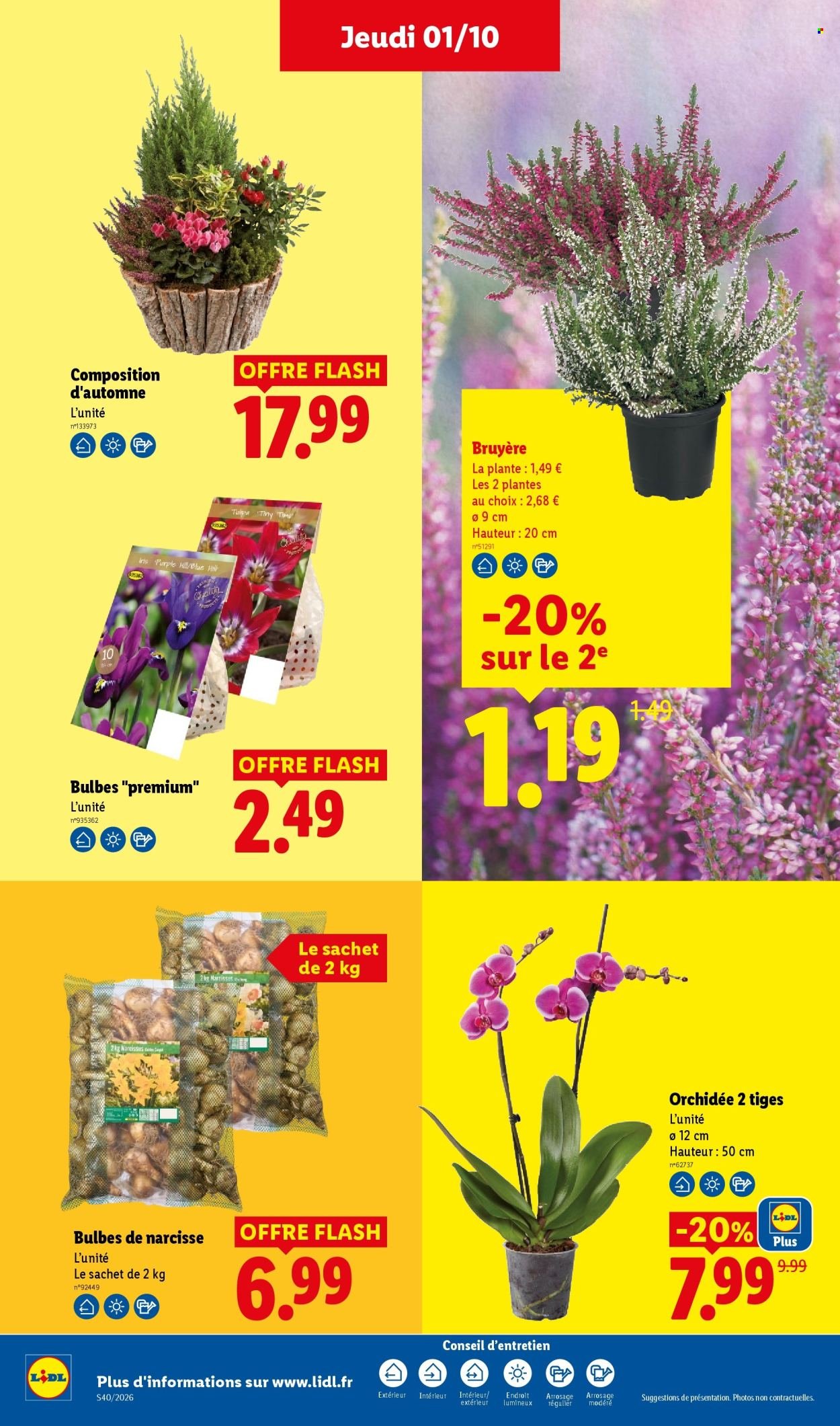 Catalogue LIDL - Les promos de la semaine