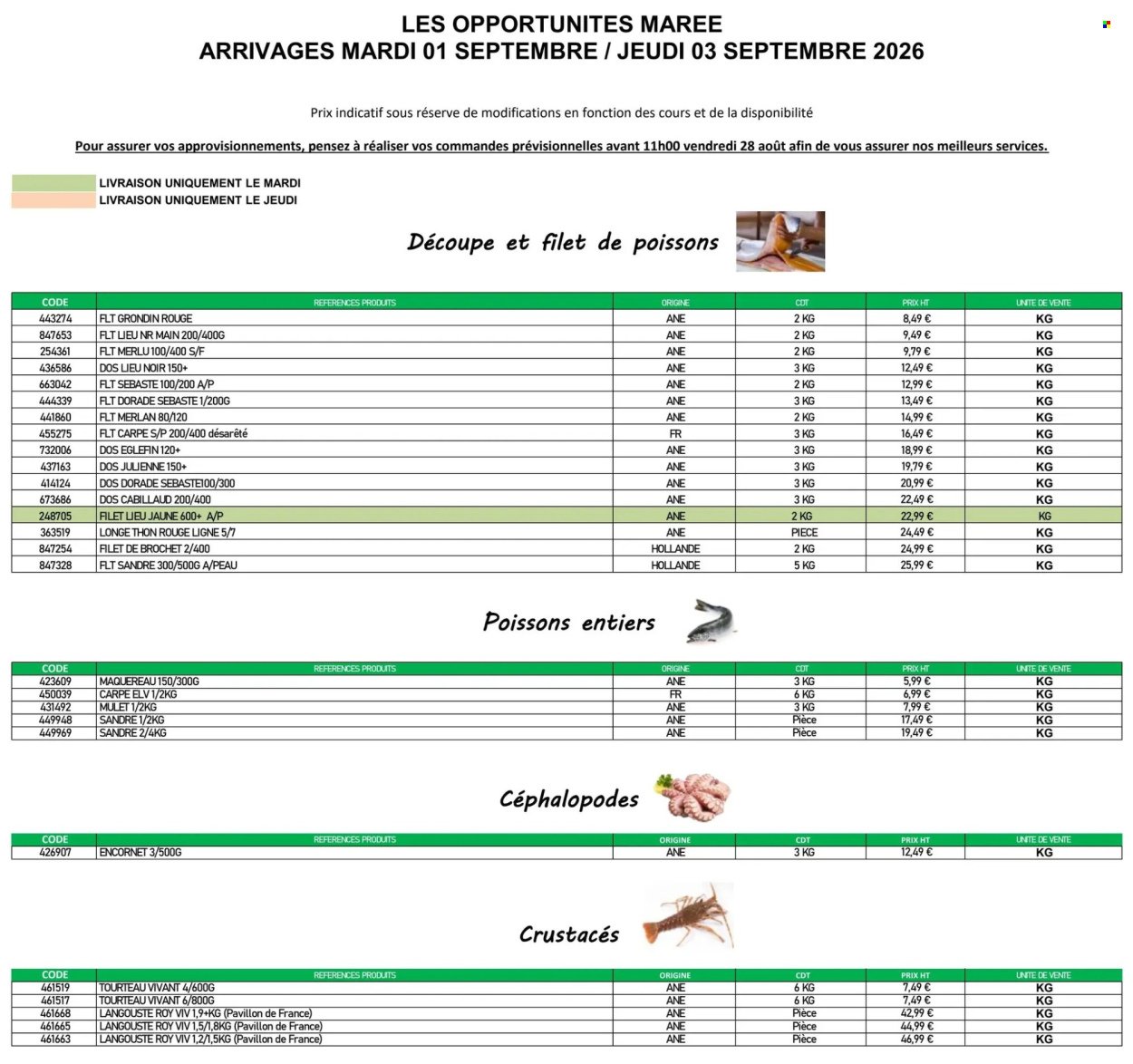 Catalogue PROMOCASH - Offre marée