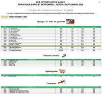 Catalogue PROMOCASH - Offre marée