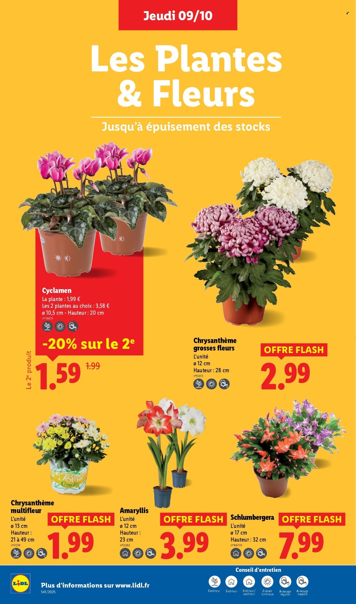 Catalogue LIDL - Les promos de la semaine (2025-10-09 - 2025-10-15)