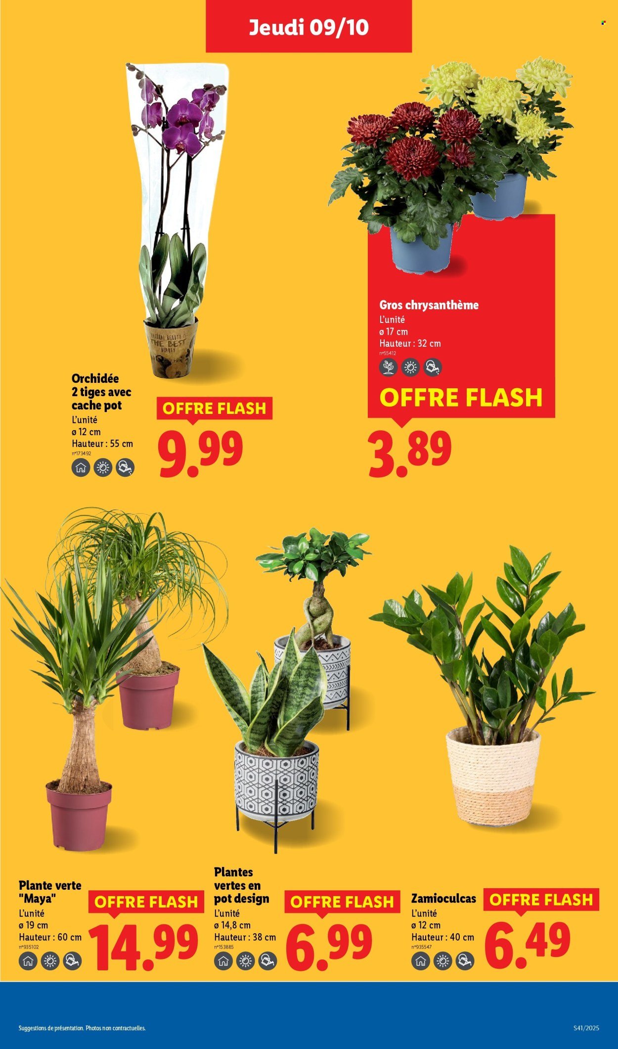 Catalogue LIDL - Les promos de la semaine (2025-10-09 - 2025-10-15)