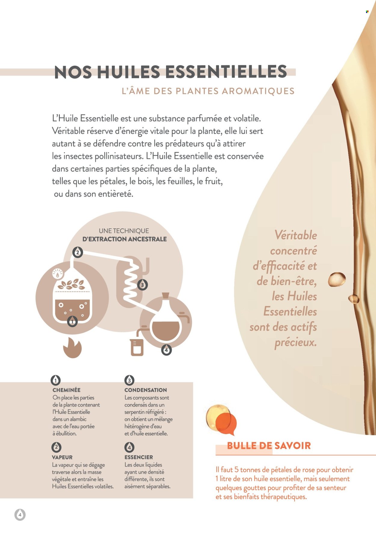 Catalogue STANHOME - LE GUIDE ESSENTIEL KIOTIS