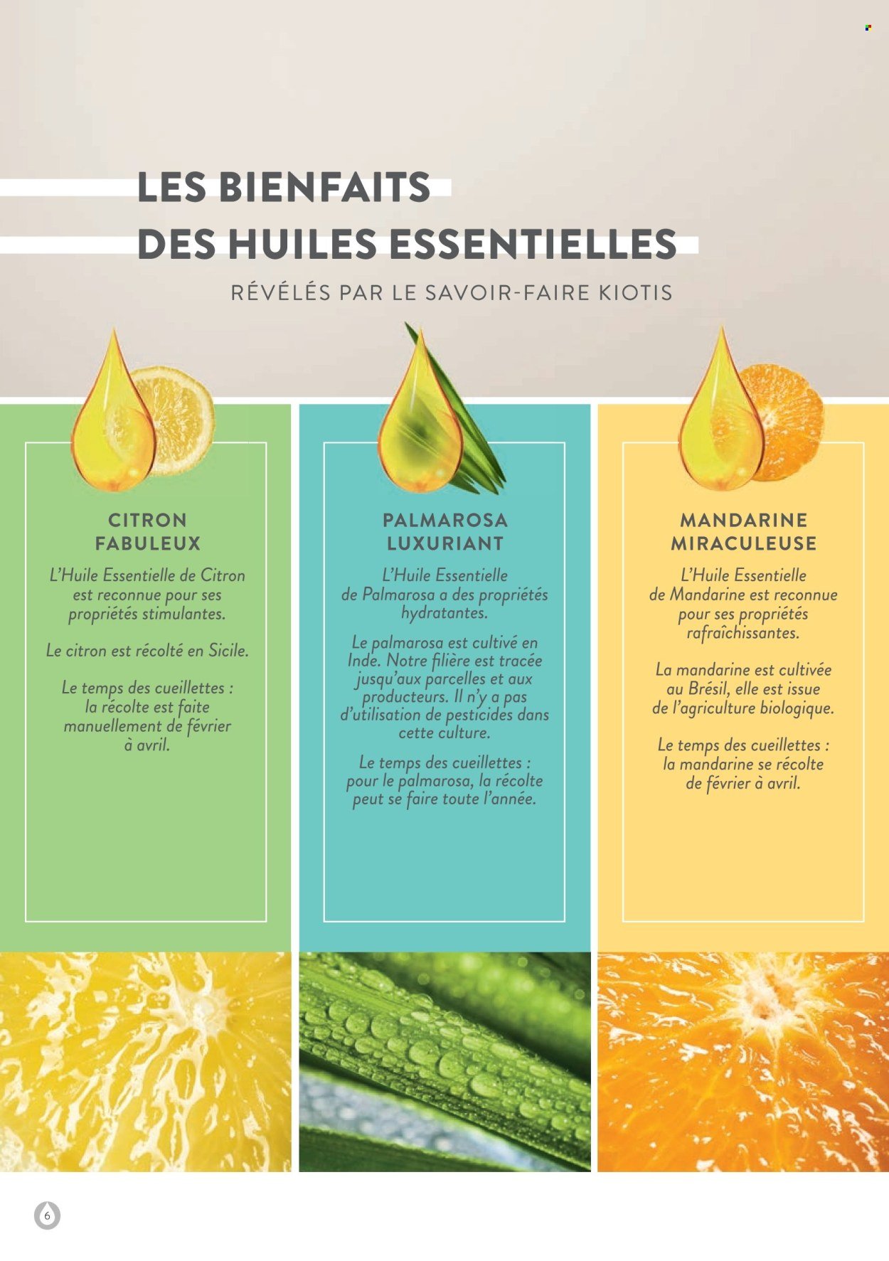 Catalogue STANHOME - LE GUIDE ESSENTIEL KIOTIS