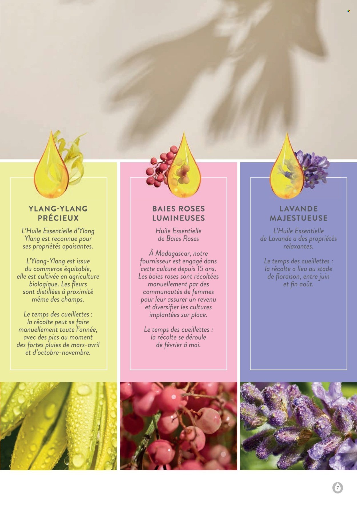 Catalogue STANHOME - LE GUIDE ESSENTIEL KIOTIS